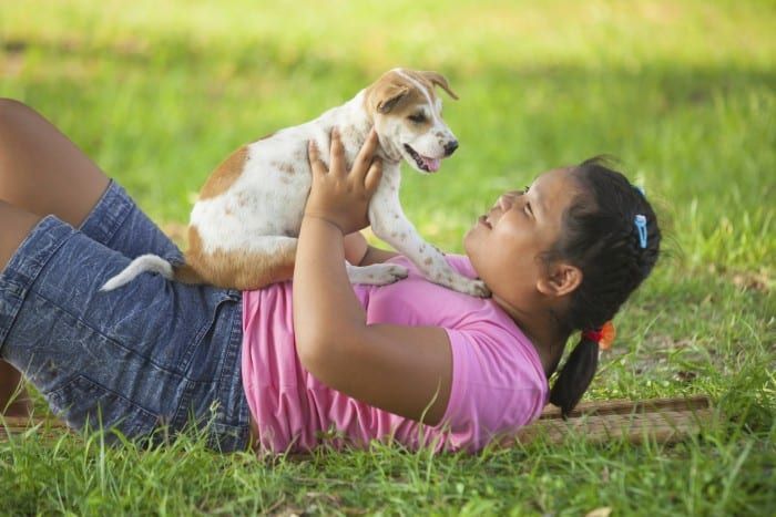 Person lying in grass playing with a puppy; the puppy is on top of her.