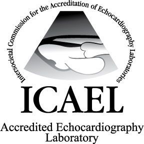 ICAEL logo with text