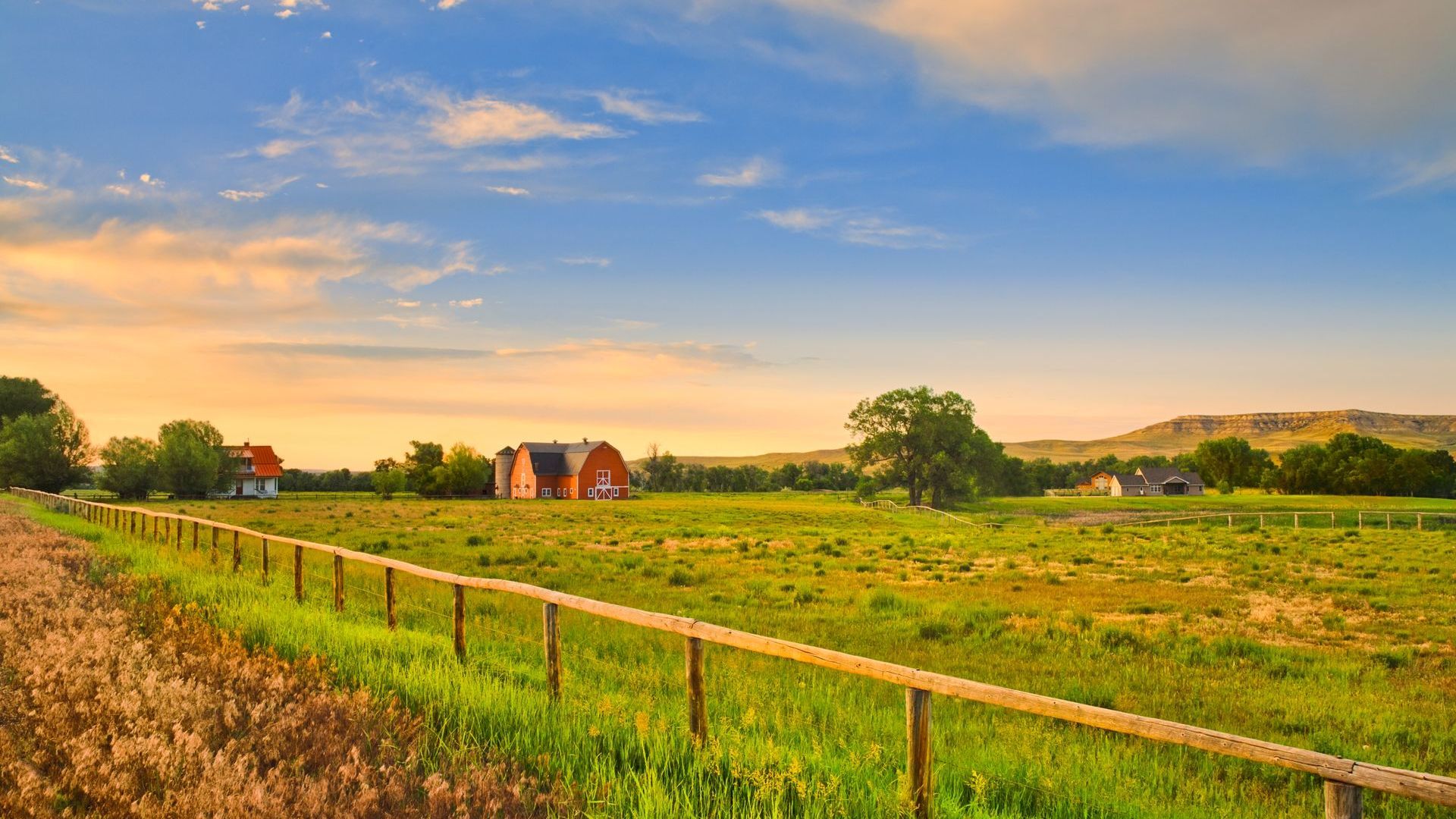 A fence surrounds a grassy field with a house in the background.