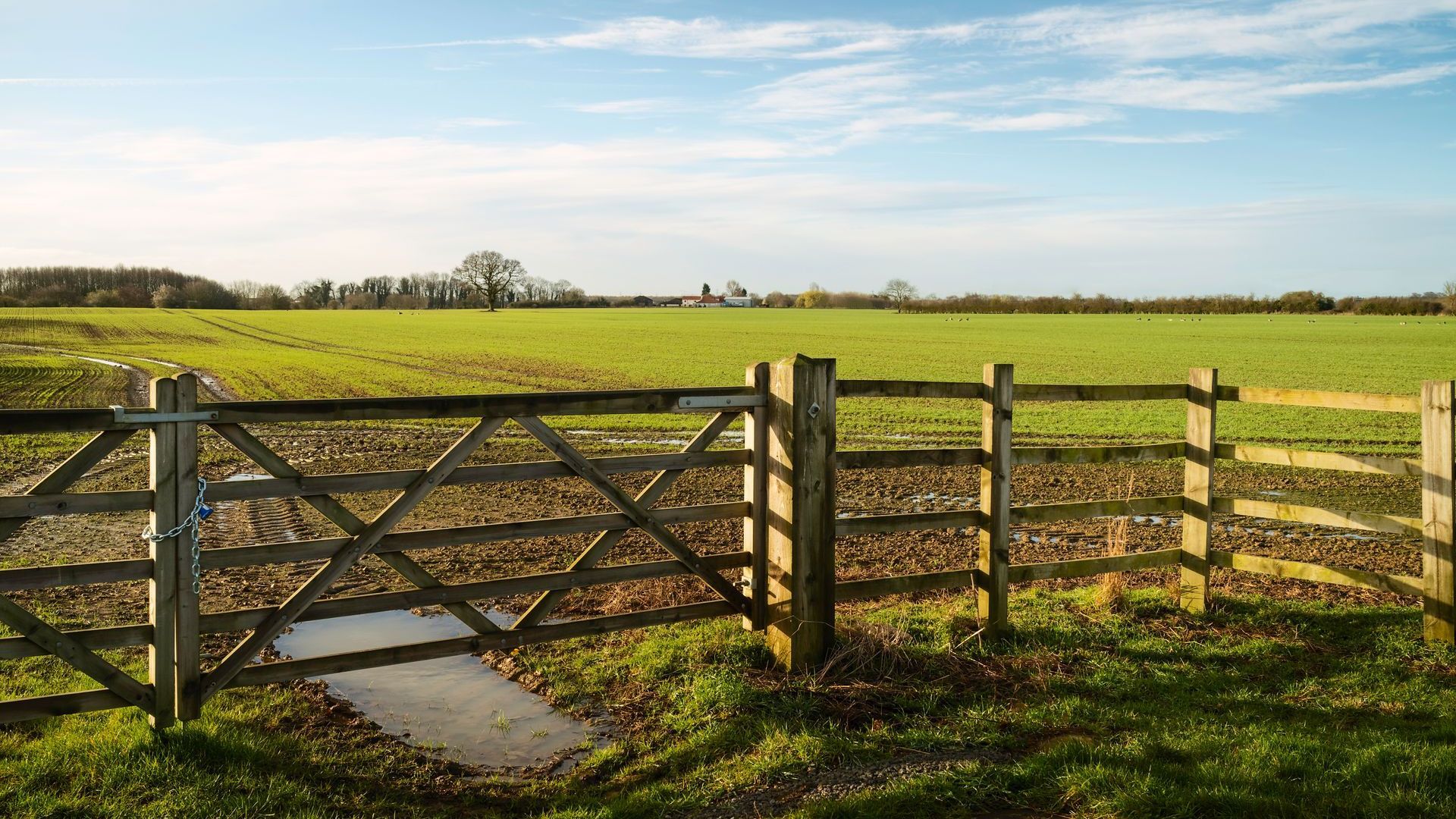 A wooden fence surrounds a grassy field with a blue sky in the background.