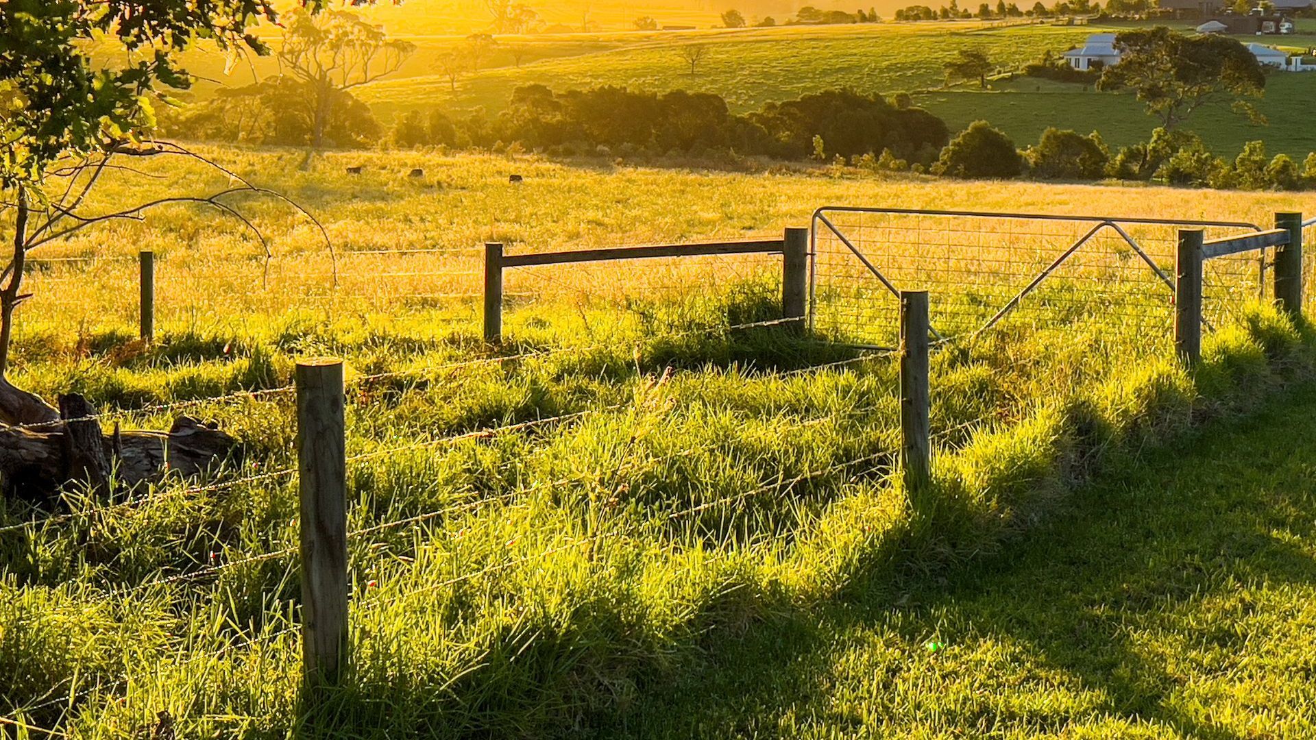 A wooden fence surrounds a grassy field at sunset.