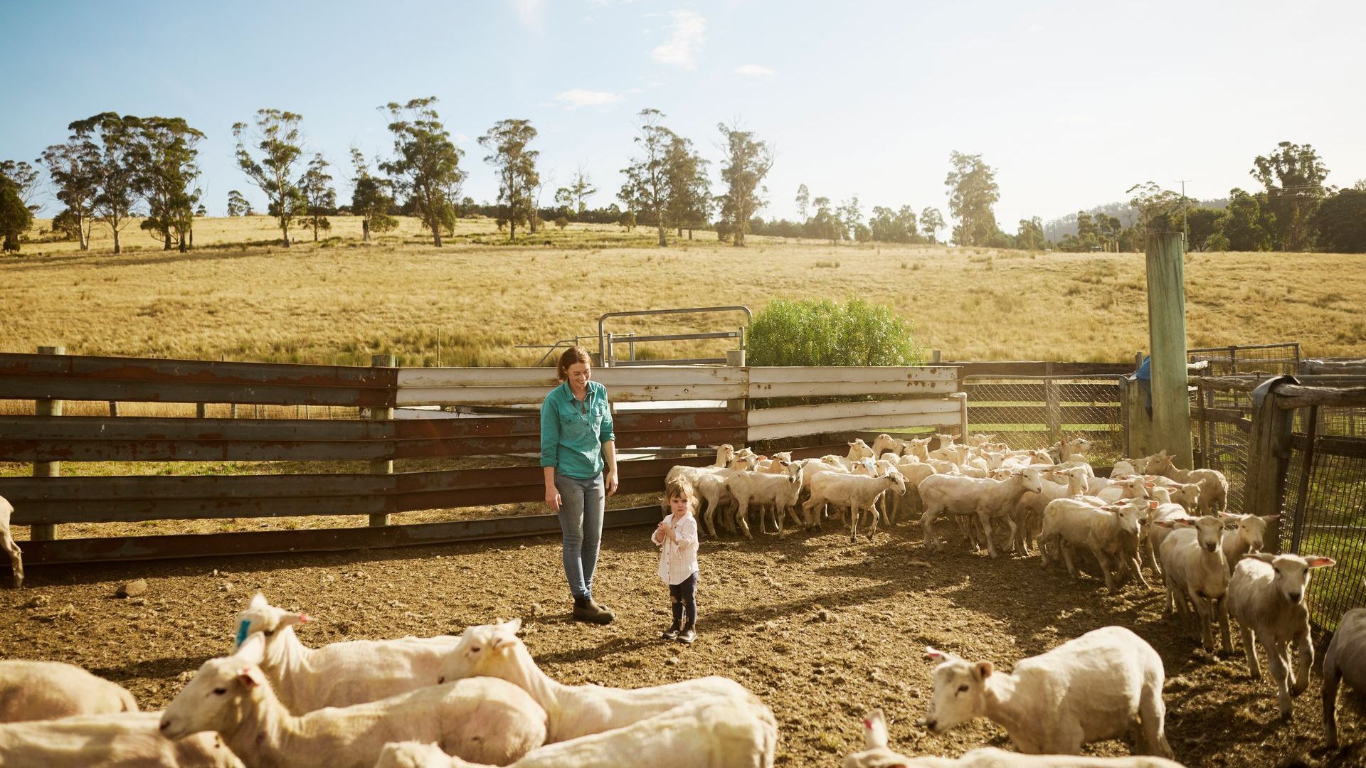 A woman and a child are standing next to a herd of sheep.