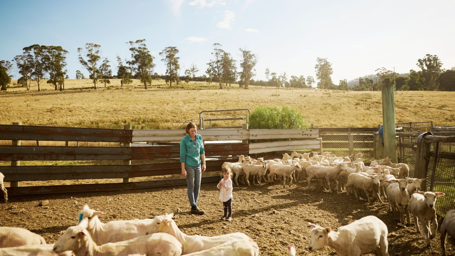 A woman and a child are standing next to a herd of sheep.