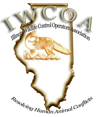 Illinois-Wildlife-Control-Operators-Association-Member