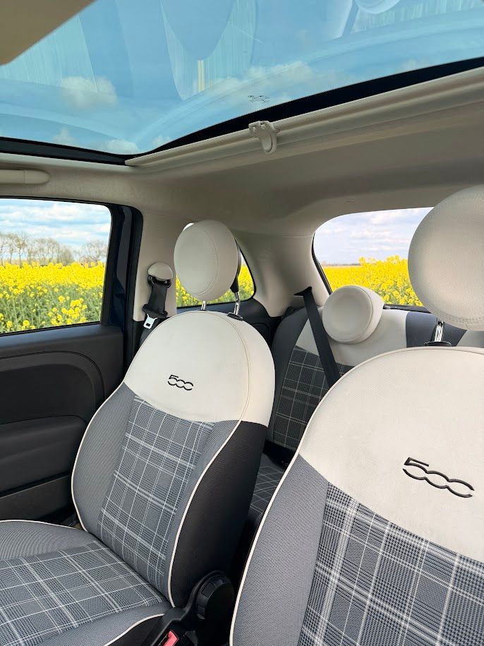 Auto-interieur met grijze geruite stoelen, een panoramisch schuifdak en gele bloemen die door de ramen zichtbaar zijn.