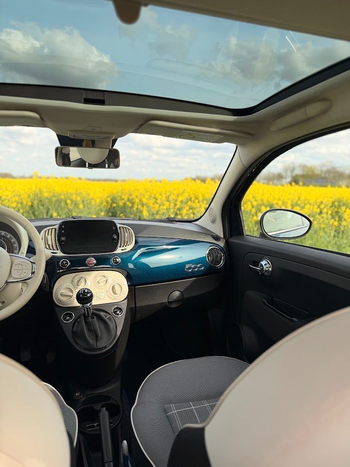 Vanuit een compacte auto met witte stoelen zijn door de ramen een geel bloemenveld en een blauwe lucht te zien.
