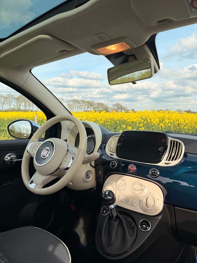 Beige auto-interieur met stuurwiel en dashboard, geparkeerd bij een veld met gele bloemen onder een blauwe hemel.