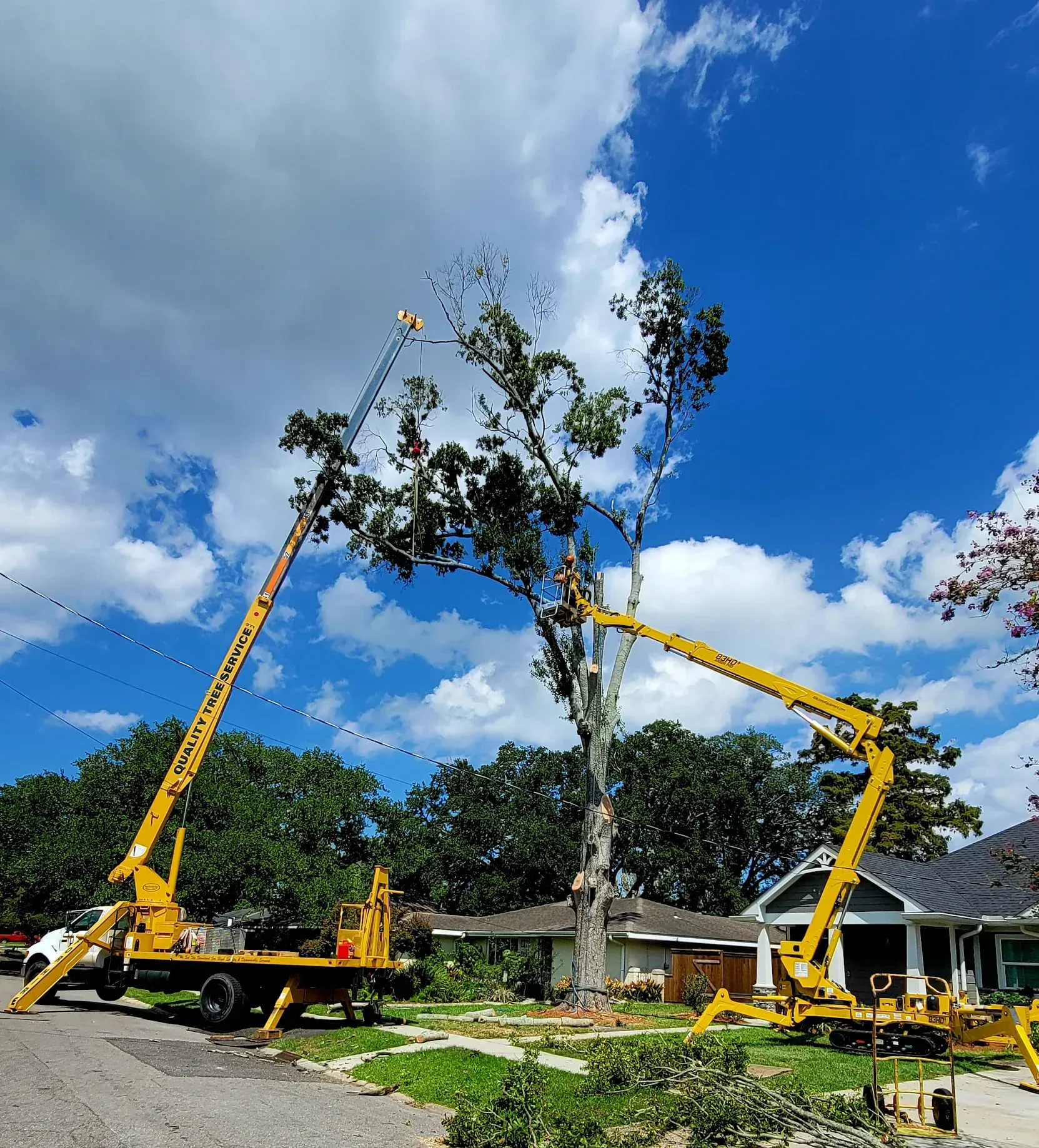 Man on Crane Cutting a Tree - Quality Tree Service LLC - Kenner, LA