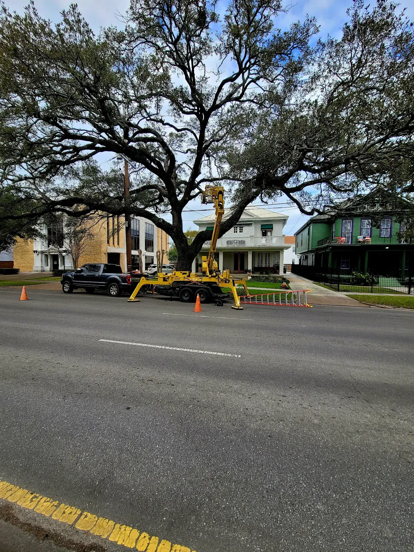 Man on Crane Cutting a Tree  - Quality Tree Service LLC - Kenner, LA