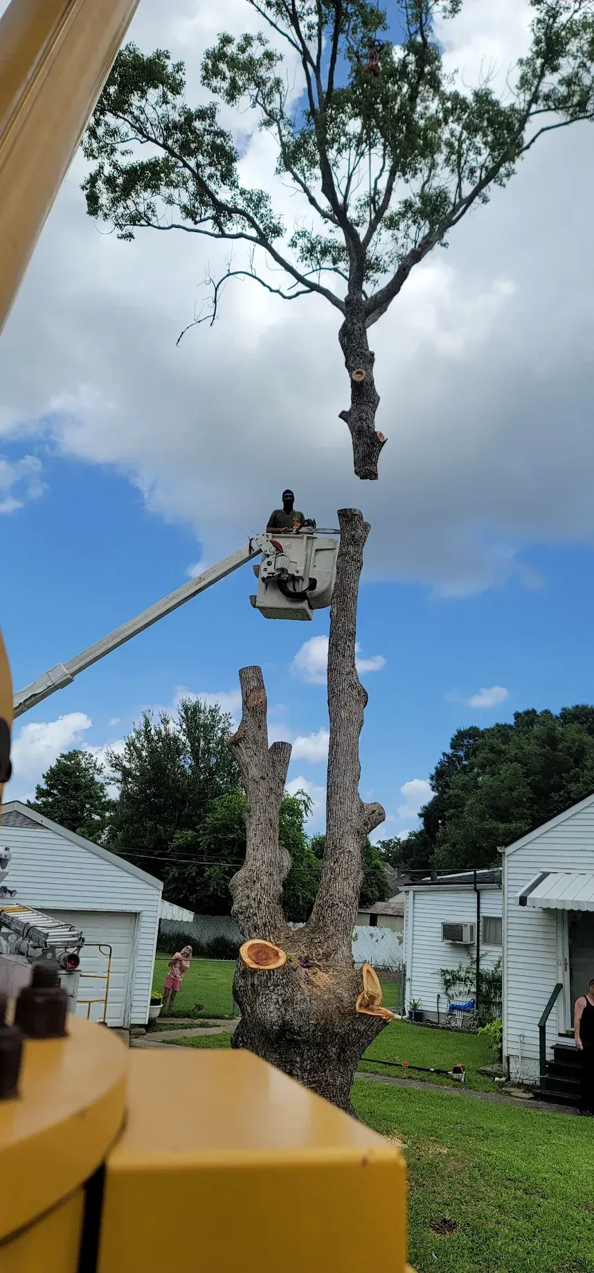 Crane Cutting a Tree  - Quality Tree Service LLC - Kenner, LA