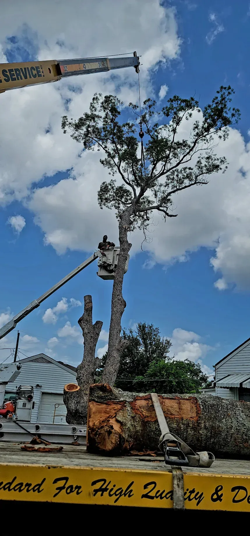 Men on Crane Tree Trimming - Quality Tree Service LLC - Kenner, LA