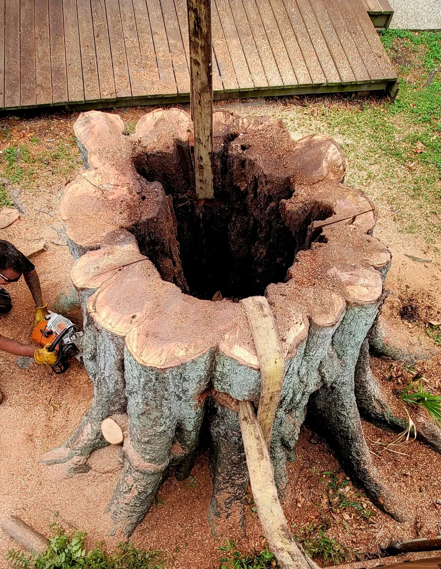 Stump Removal  Service - Quality Tree Service LLC - Kenner, LA