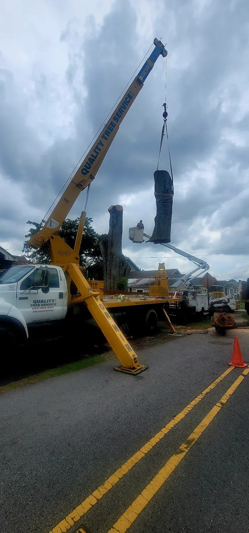 Tree Removal Service- Quality Tree Service LLC - Kenner, LA