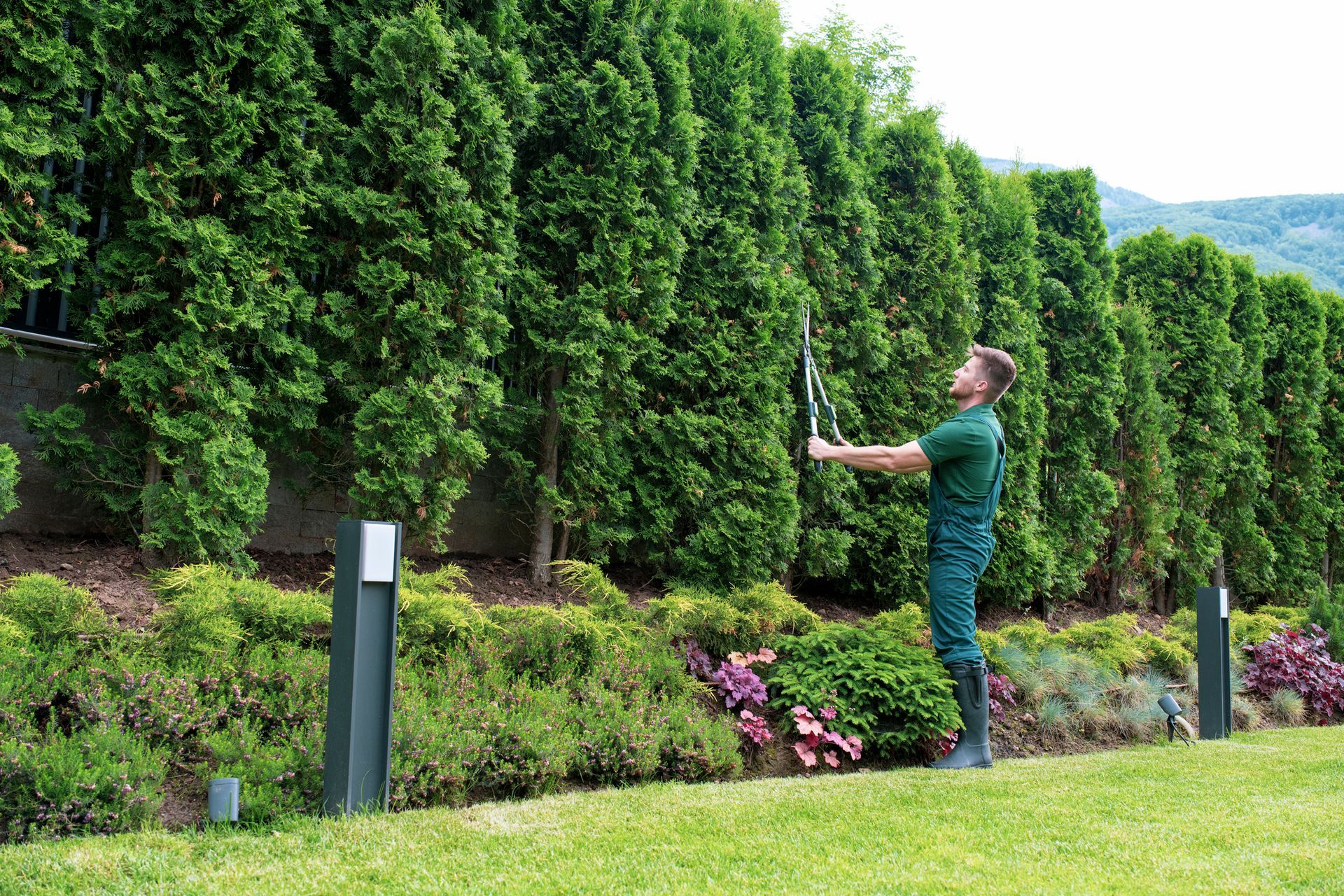 A man in a green uniform spray a hedge with a hose, performing tree trimming services.