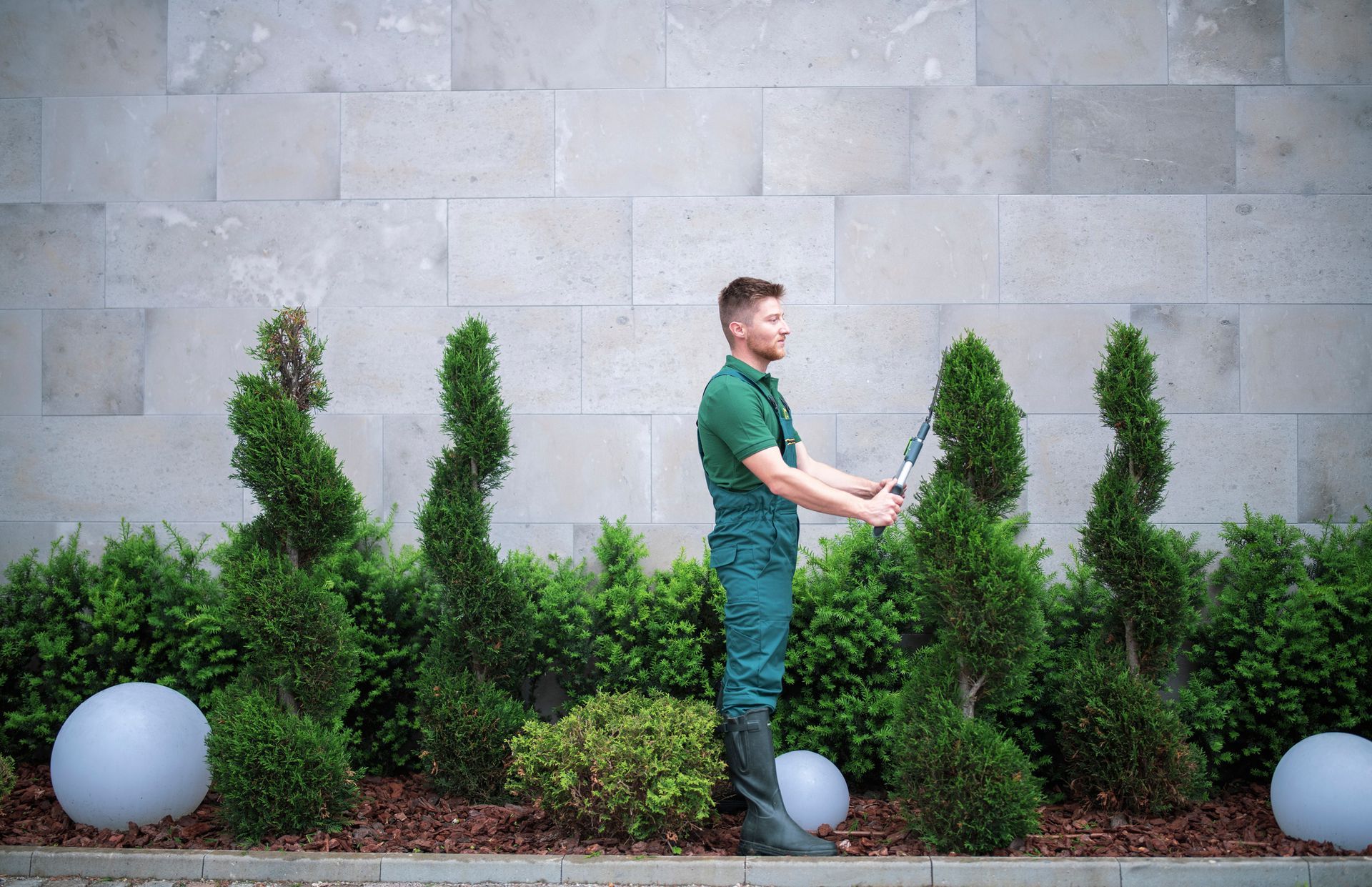 A professional landscaper trimming a hedge with clippers, showcasing expert tree trimming services.