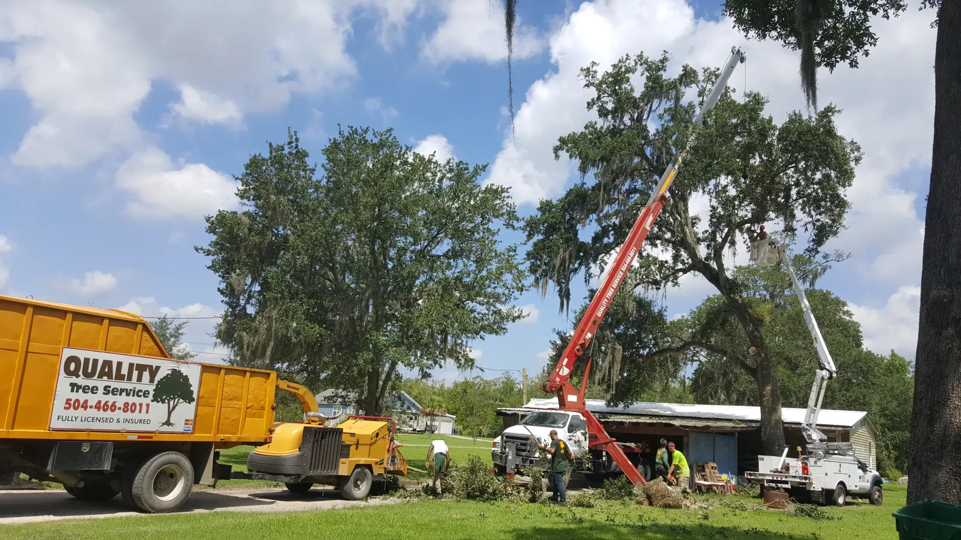 Tree Removal Cranes - Quality Tree Service LLC - Kenner, LA