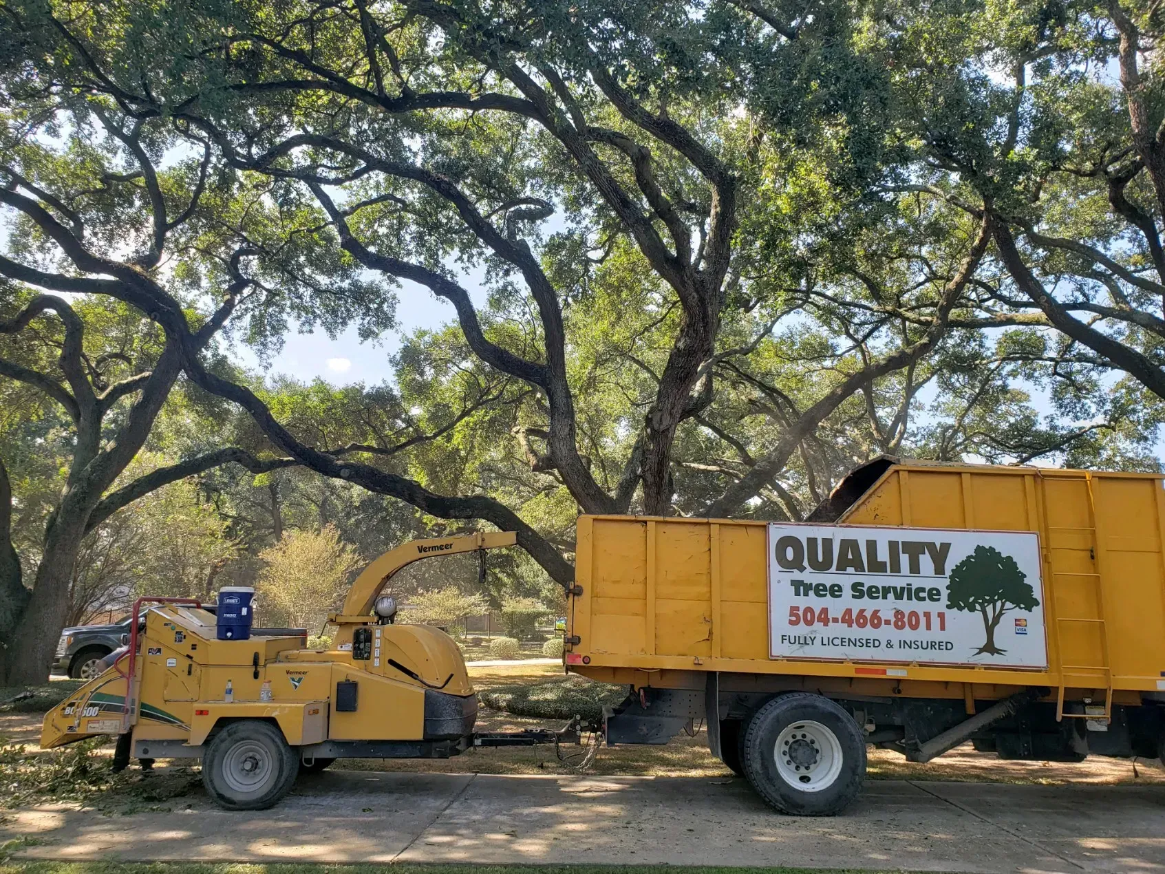 Tree Trimming Service - Quality Tree Service LLC - Kenner, LA