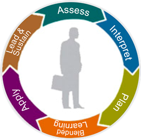Circular workflow diagram: Assess, Interpret, Plan, Bled, Learning, Apply, and Learn & Sustain around a central silhouette.