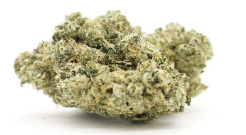 A box of bear labs next to a jar of OG Kush