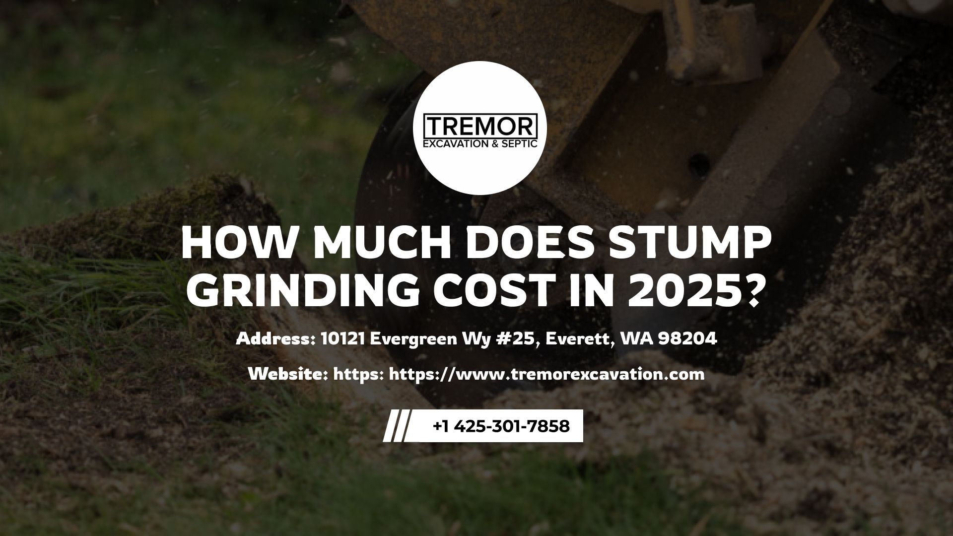 stump grinding costs 