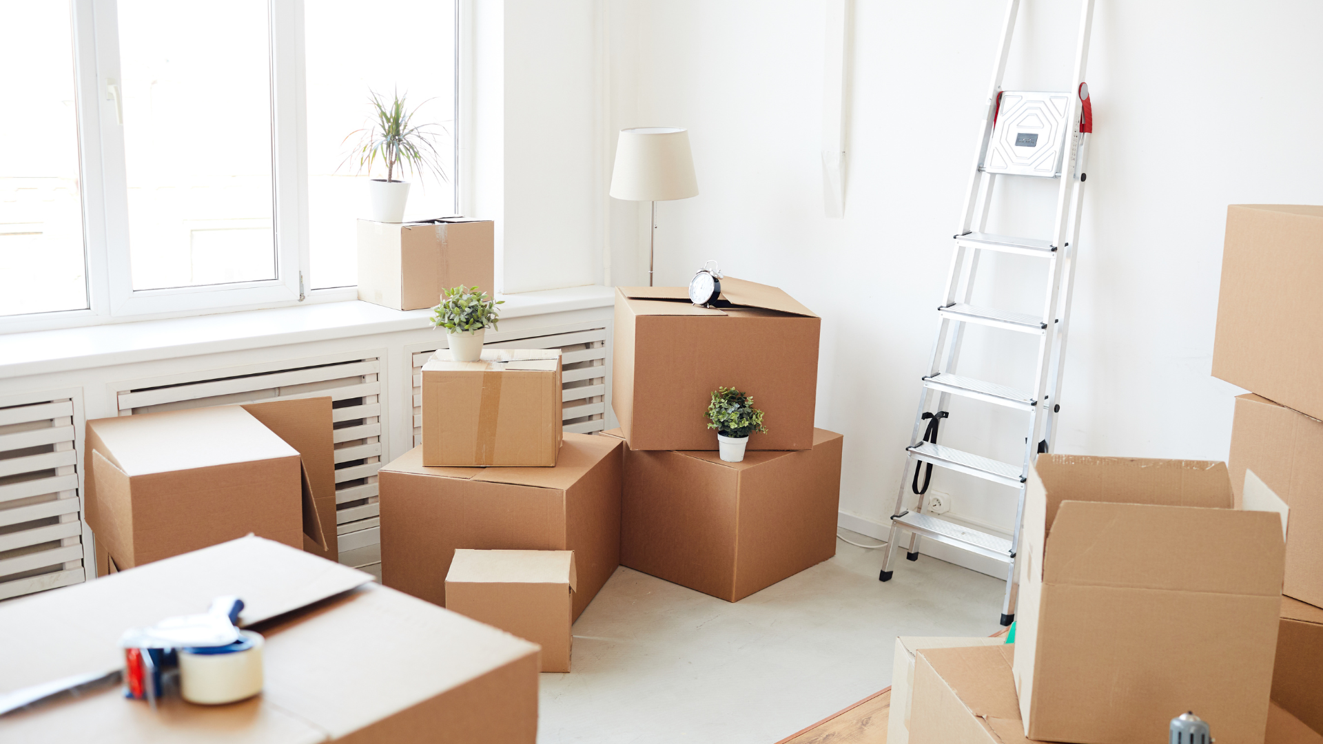 A living room filled with cardboard boxes and a ladder.