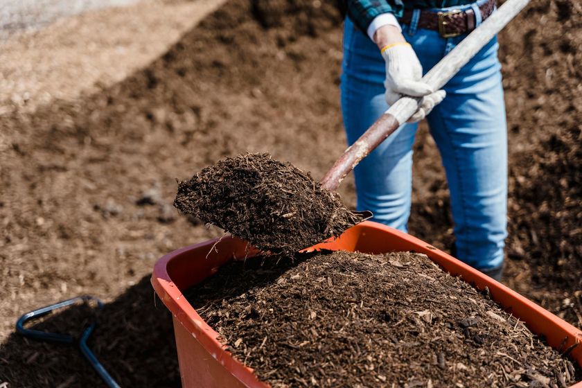Person shoveling mulch into a red wheelbarrow.