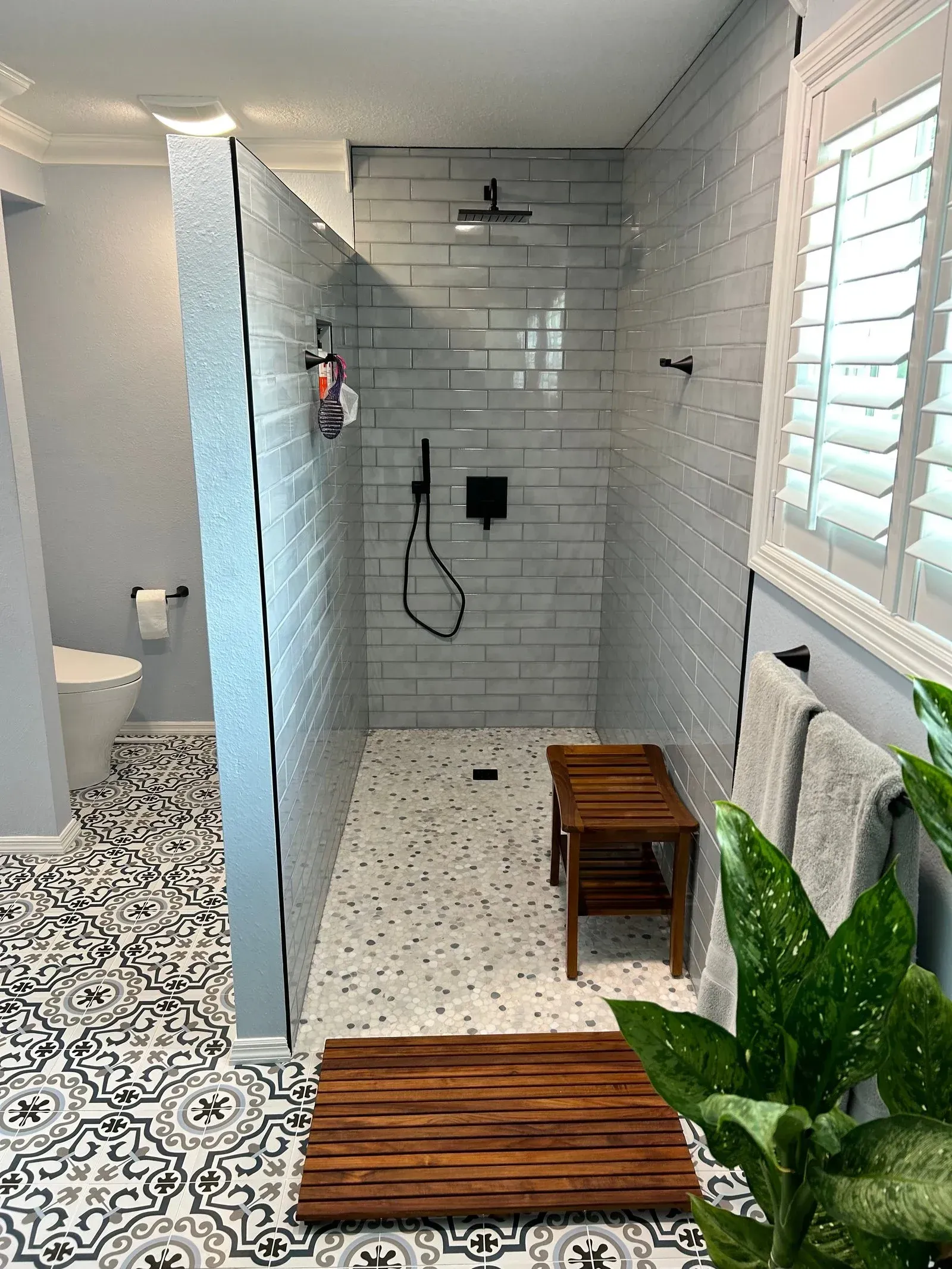 A bathroom with a walk in shower , a toilet , and a plant.