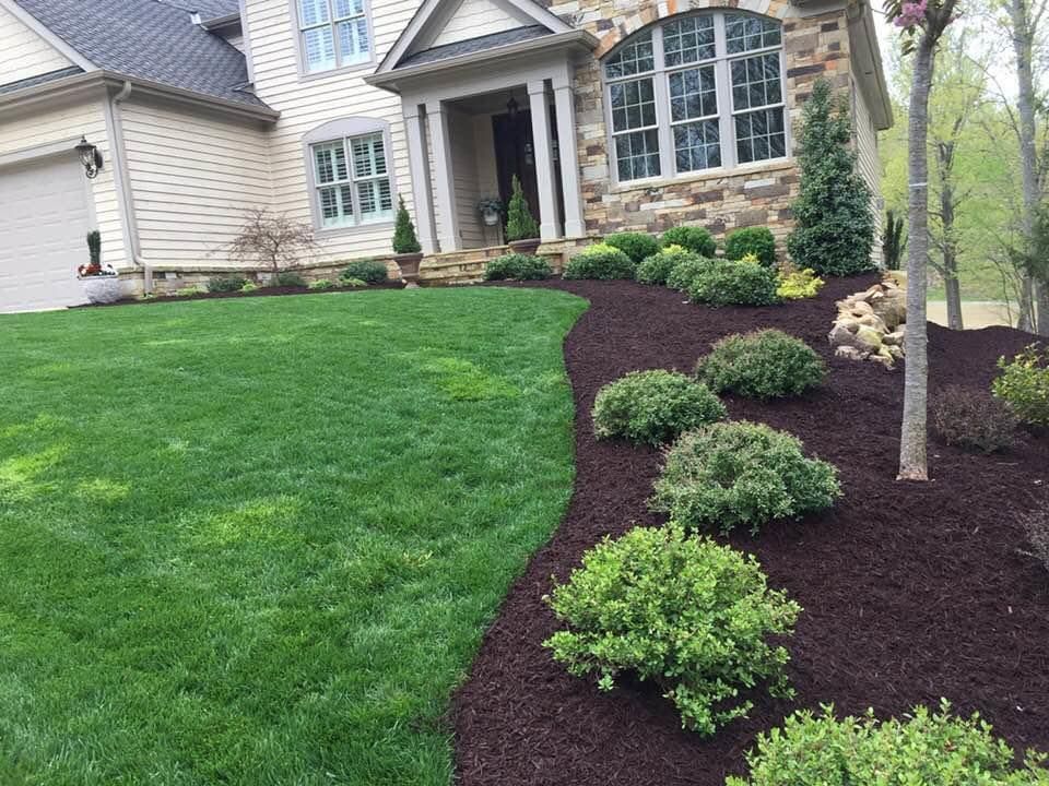 House with green lawn and mulched landscaping beds filled with shrubs.