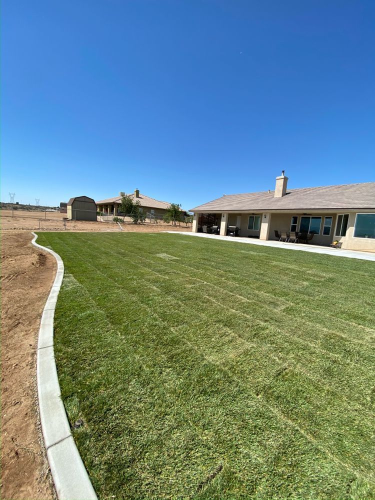Green lawn bordered by concrete, adjacent to a house with blue sky backdrop.