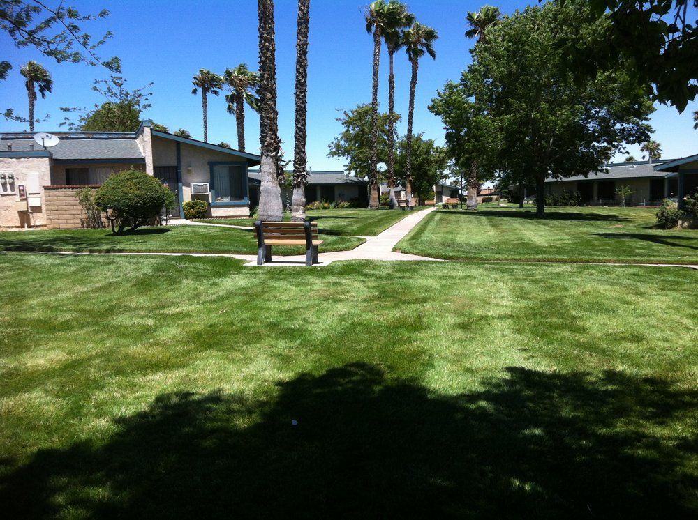 Lawn with palm trees, walkway, and houses on a sunny day. A park bench sits on the grass.