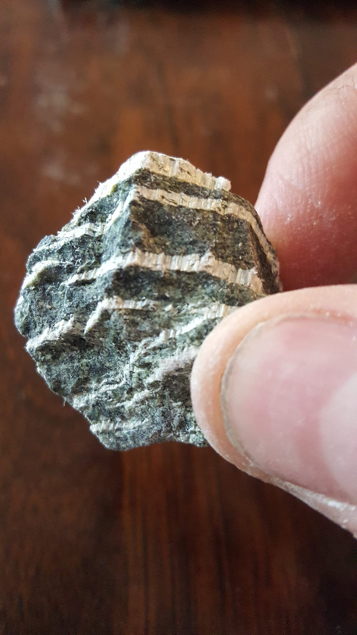 Abatex Environmental Solutions