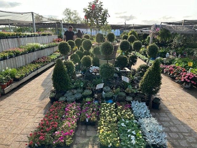 A man is standing in a garden center surrounded by lots of potted plants.