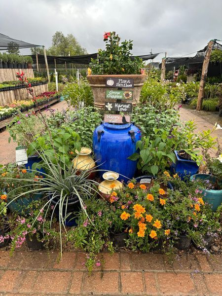 A garden filled with lots of potted plants and flowers.