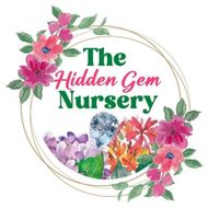 The Nursery - The Hidden Gem logo