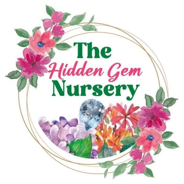 The Nursery - The Hidden Gem logo