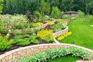 A garden filled with lots of plants and flowers.