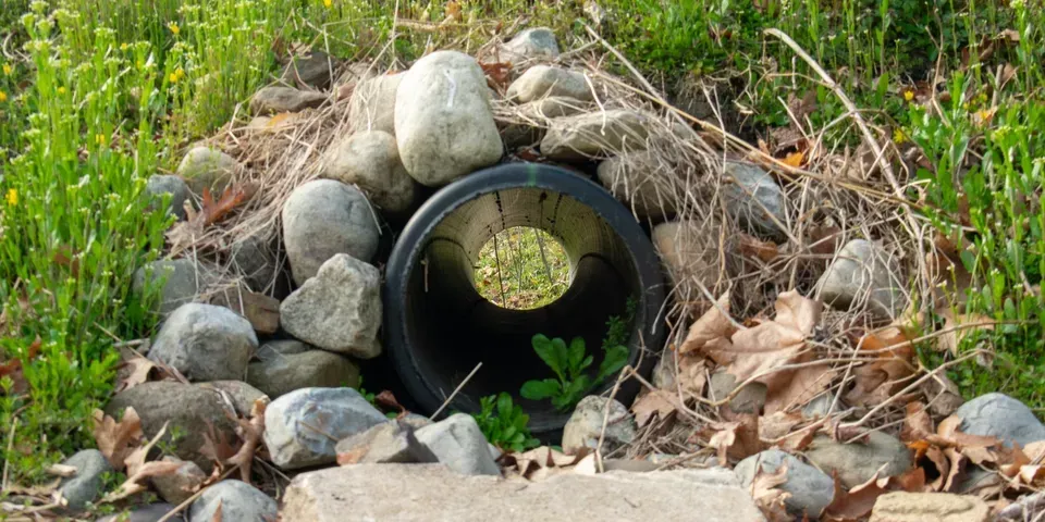 A black pipe is surrounded by rocks and grass.