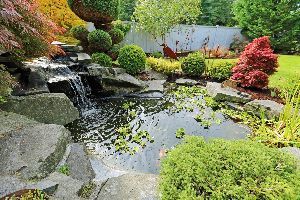 There is a pond with a waterfall in the middle of the garden.