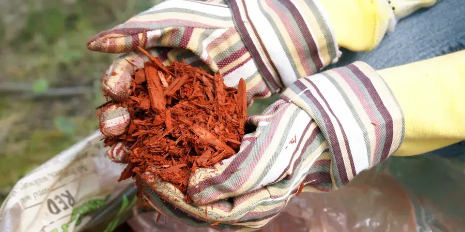 A person wearing gloves is holding a pile of mulch in their hands.