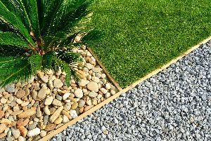 A garden with rocks , grass and a palm tree.