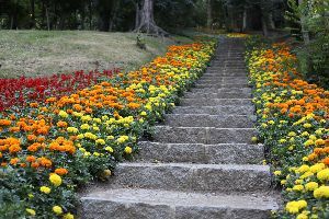 A stone staircase leading up to a garden filled with colorful flowers.