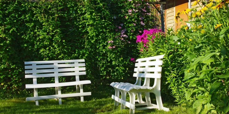 Two white benches are sitting in the grass in a garden
