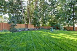 A large lush green lawn with a wooden fence and trees in the background.