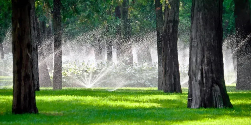 A park with trees and sprinklers spraying water on the grass.