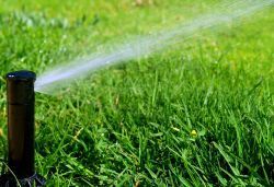 A sprinkler is spraying water on a lush green lawn.