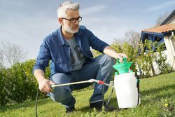 A man is spraying a lawn with a sprayer.