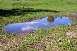 A large puddle of water in the middle of a grassy field.