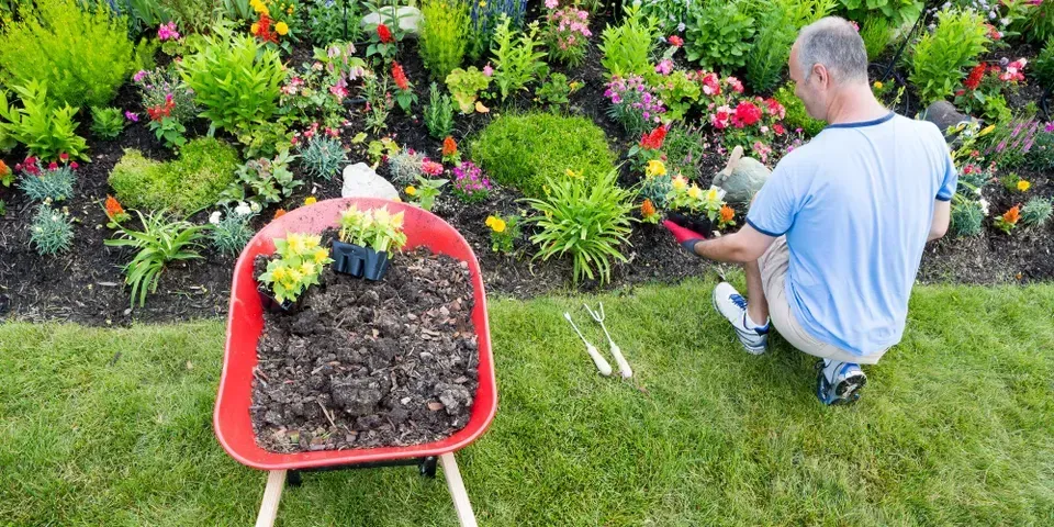 A man is kneeling down in a garden next to a wheelbarrow filled with dirt.