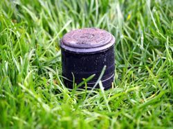 A black object is sitting in the middle of a lush green field.