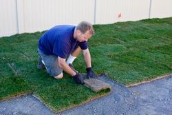A man is kneeling down to install a lawn.